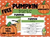 FREE Pumpkin Parts: Coloring, Tracing, and Labeling Pages!