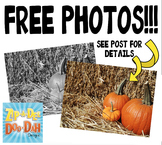 {FREE} Pumpkins Stock Photos Pack — Includes Commercial License!