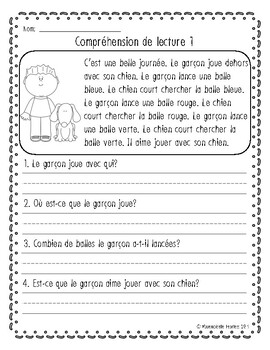 Preview of FREE Reading Comprehension Worksheets/Compréhension de lecture (FRENCH)