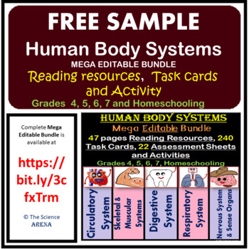 Preview of FREE SAMPLE of Human Body Systems - Notes, Task Cards, Worksheets, Etc. 4th-7th