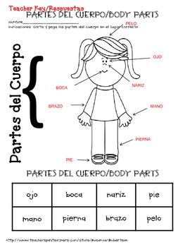 free spanish girl and boy body parts by rosanna robertson tpt