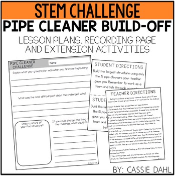 Preview of FREE STEM Pipe Cleaner Challenge