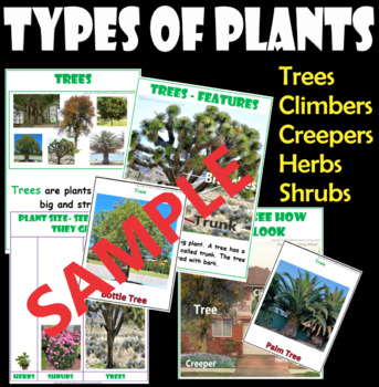 Preview of FREE Samples -- Types of Plants-Trees, Creepers, Climbers, Herb & Shrubs