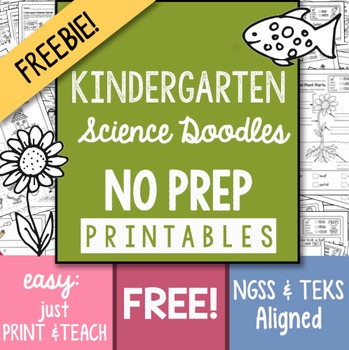 Preview of FREEBIE! NO-PREP Kindergarten Science Doodle Printables