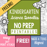 FREEBIE! NO-PREP Kindergarten Science Doodle Printables