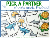 FREE Shark Pick-A-Partner Cards