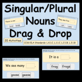 FREE Singular vs. Plural Nouns Drag & Drop PREVIEW - Googl