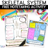 FREE Skeletal System Activity