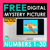 FREE Spanish Numbers 1-30 Digital Mystery Picture | Galapa