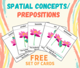 FREE Spatial Concepts/Prepositions Cards (with SLP Instruc