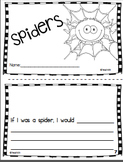 Spider Facts Mini Book