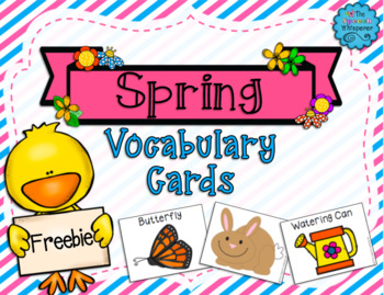 Preview of FREE Spring Vocabulary Cards