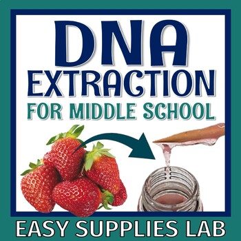 Preview of MIDDLE SCHOOL Strawberry DNA Extraction Lab Activity