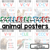 FREE Syllable Type Animal Posters