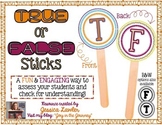 {FREE} True or False Sticks: Informal Assessment Tool