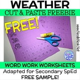 FREE Weather CUT & PASTE Spelling Word Work Adapted for SpEd