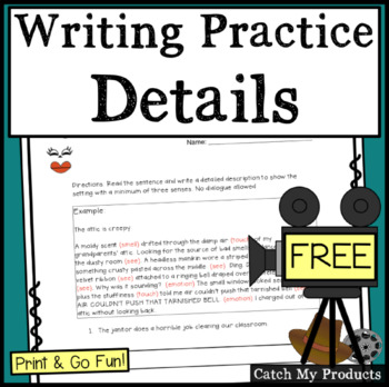 Preview of Writing Details Worksheets
