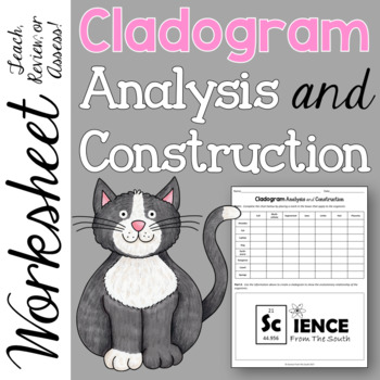 Preview of Cladogram Analysis and Construction Worksheet for Notes, Review, or Assessment