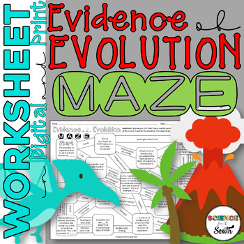 Preview of Evidence of Evolution Maze Worksheet with Differentiation in Digital and Print