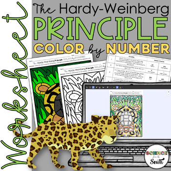 Preview of Hardy Weinberg Principle Color by Number Activity Printable and Digital Resource