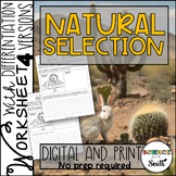 Natural Selection Worksheet Activity with Differentiation 
