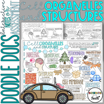 Preview of Cell Organelles Doodle Docs Coloring Notes about Cell Structure and Function