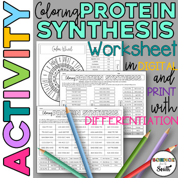 Coloring Protein Synthesis Worksheet for Review or Assessment | TpT