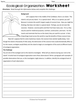 ecological organization writing worksheet for review or assessment