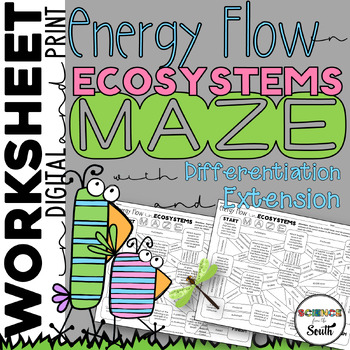 Preview of Energy Flow Energy Pyramids and Trophic Levels Maze Activity in Digital & Print