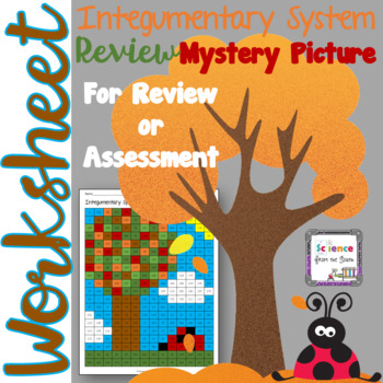Preview of Integumentary System Review Hidden Mystery Picture with Editable Questions