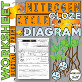 The Nitrogen Cycle CLOZE Reading with Diagram for Notes, Review, or Assessment