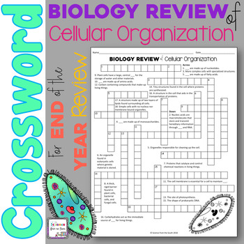 Biology Review of Cellular Organization Crossword Puzzle TpT