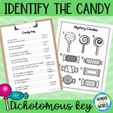 FREE simple identify the candy dichotomous key activity wo