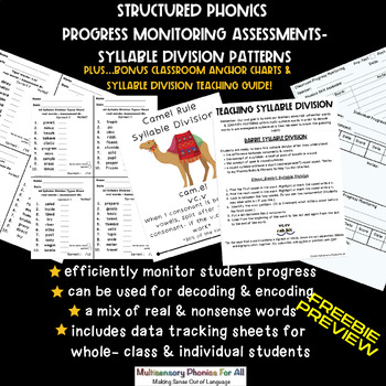 Preview of FREEBIE PREVIEWStructured Phonics Progress Monitoring-Syllable Division+Charts++