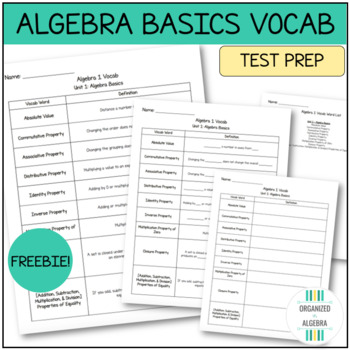 Preview of Algebra Foundations Differentiated Vocabulary Free