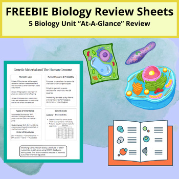 Preview of FREEBIE - Biology Review Sheets - Cells, DNA, RNA, Chemisty of Life, Genetics