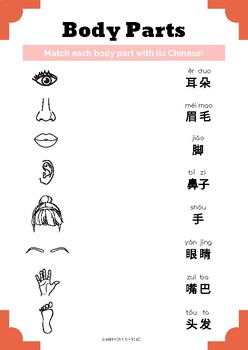 Preview of FREEBIE | Body Parts (Mandarin Chinese)