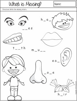 free body parts read and write worksheets sample by km classroom