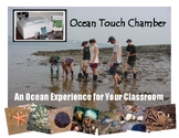 FREEBIE - Build an Ocean Touch Chamber for your Classroom