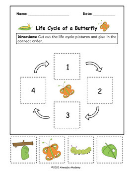 freebie butterfly life cycle cut and paste by akwaaba akademy tpt