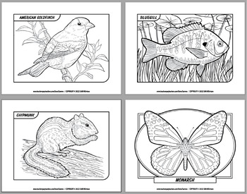 Preview of FREEBIE! COLORING PAGES SAMPLER Featuring Birds, Fish, Butterflies & Mammals