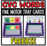 FREEBIE CVC Fine Motor Cards - Blending CVC words
