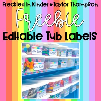 Preview of FREEBIE Editable Bin Labels