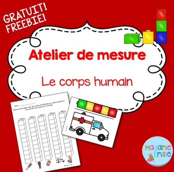 Preview of FREEBIE! FRENCH Human Body Mesurement activity/ Atelier Mesure Corps humain