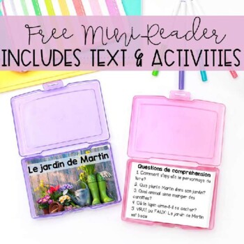 Preview of FREEBIE - FRENCH MINI-BOOK, STORY, READER AND COMPREHENSION QUESTIONS