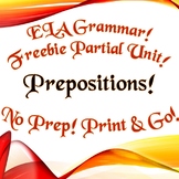 FREEBIE Grammar: Prepositions - Handout
