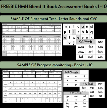 Preview of FREEBIE HMH Blend It Book Science of Reading Data Assessment Progress Monitoring