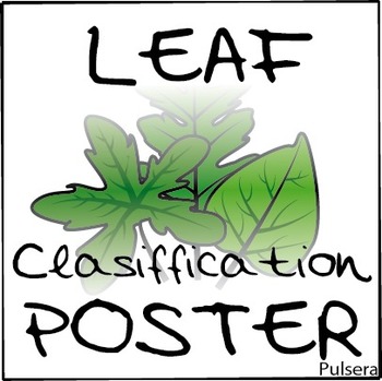 Preview of FREEBIE Leaf classification poster