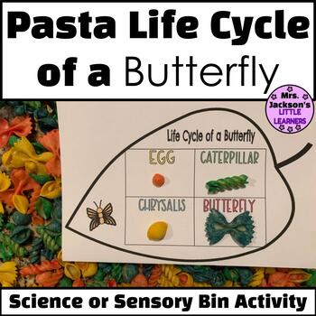 OVEN BAKE CLAY  LIFE CYCLE OF A BUTTERFLY – Pepper and Pine