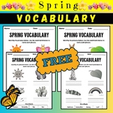 FREEBIE! No Prep Spring Vocabulary Worksheets | Color and 